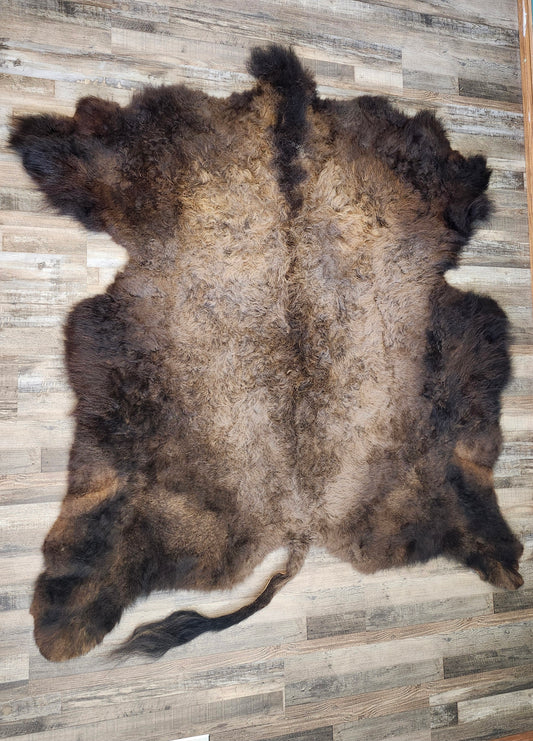 Bison Robes - Medium