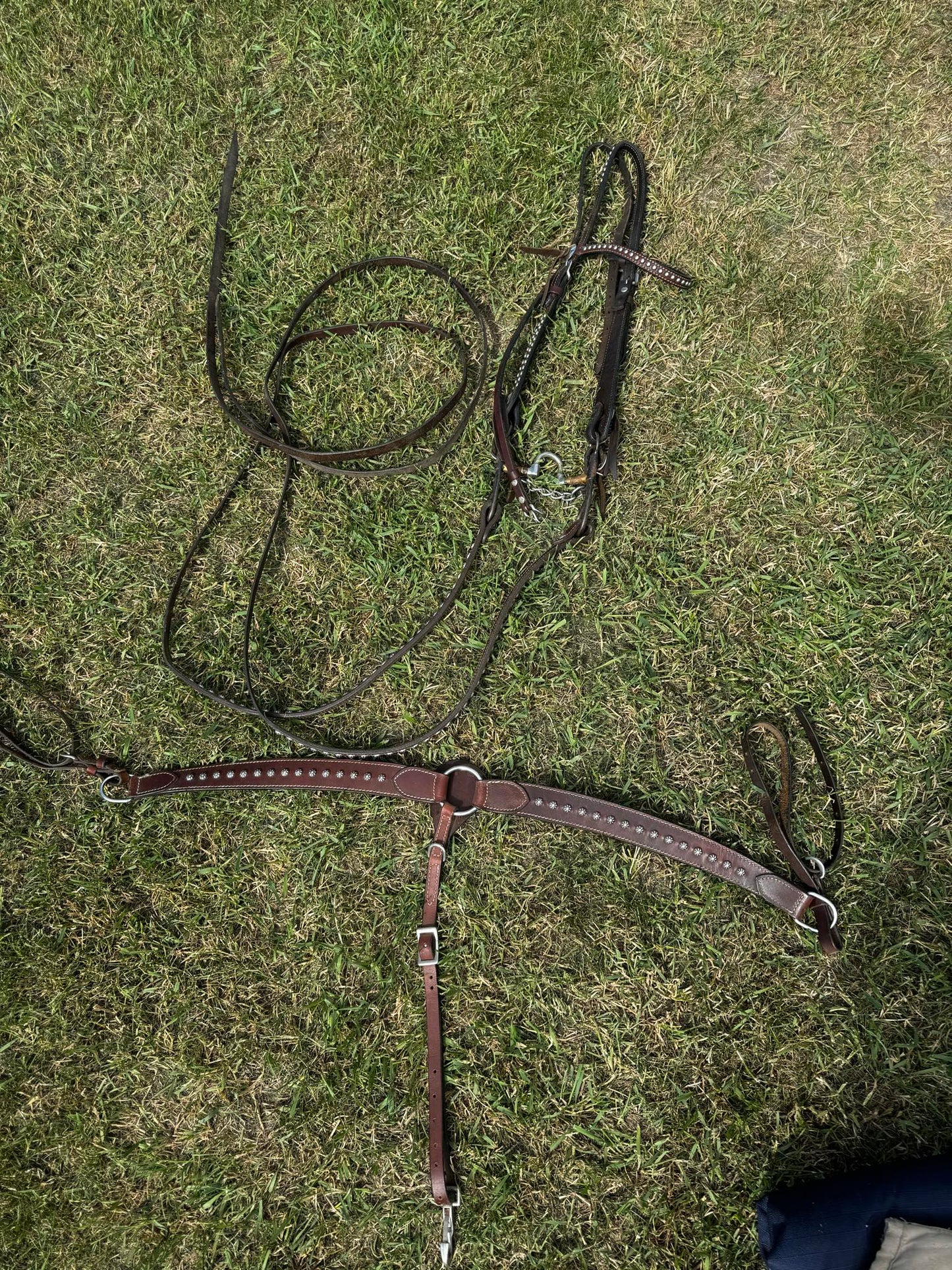 Bridle & Breast Plate Set